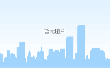 2010-2011年度建设工程优秀招标代理机构铜牌